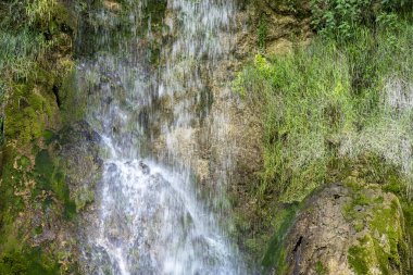 Ormandaki su akıntısı 