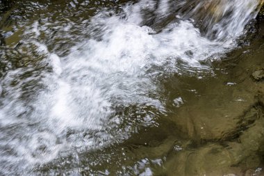 Ormandaki su akıntısı 