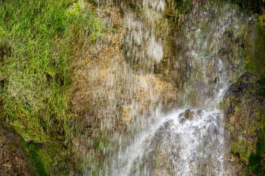 Ormandaki su akıntısı 