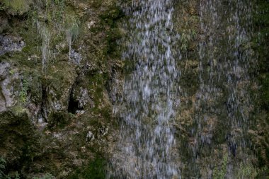 Ormandaki su akıntısı 