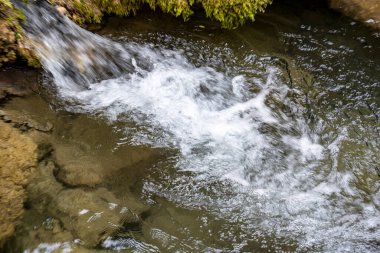 Ormandaki su akıntısı 