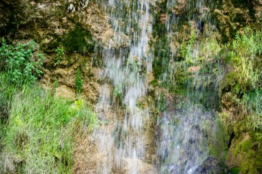 Ormandaki su akıntısı 