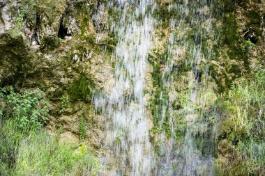 Ormandaki su akıntısı 