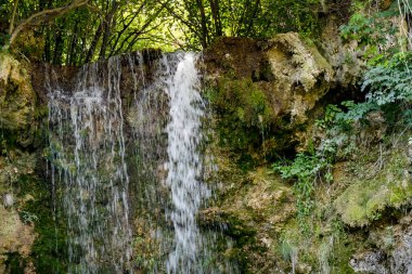 Ormandaki su akıntısı 