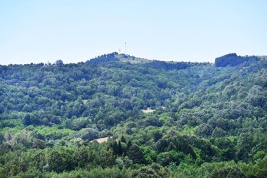Yaz dağlarındaki yeşil ağaçların ve bitkilerin gündüz manzarası 