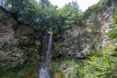 Ormandaki su akıntısı 