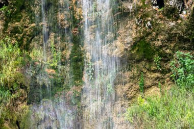 Ormandaki su akıntısı 