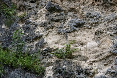 Taş duvar dokusu arkaplanı
