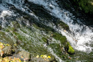 Yazın ormanda küçük bir şelale.