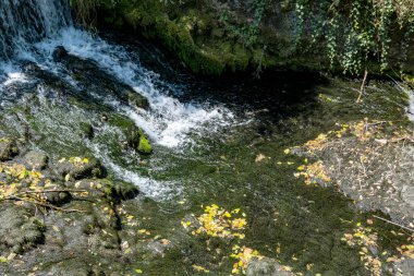 small waterfall in the forest in the summer