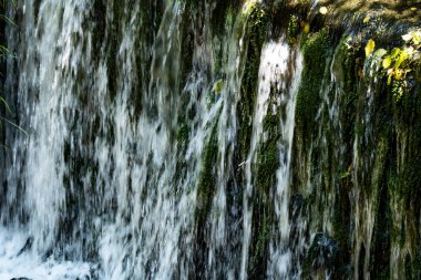 Yazın ormanda küçük bir şelale.
