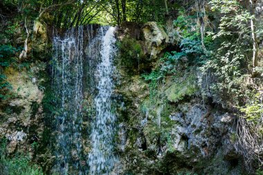 Yazın ormanda küçük bir şelale.