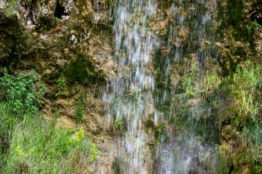 Yazın ormanda küçük bir şelale.
