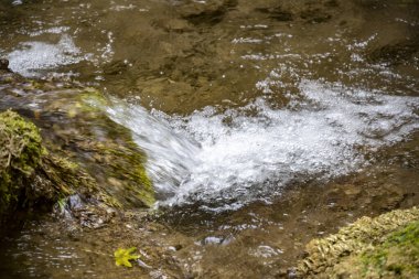 Yazın ormanda küçük bir şelale.