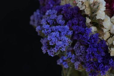 Bahçede kurumuş güzel çiçekler