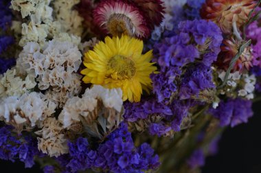 Bahçede kurumuş güzel çiçekler