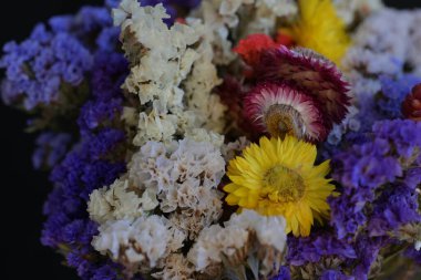 Bahçede kurumuş güzel çiçekler