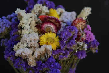 Bahçede kurumuş güzel çiçekler