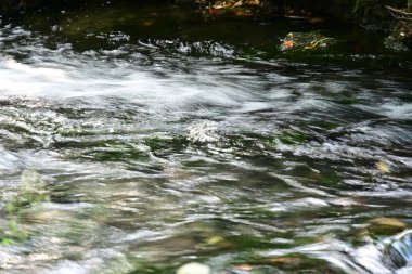 su akışı dağ orman