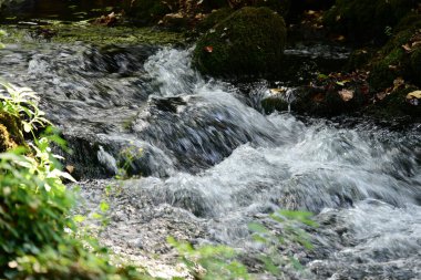 su akışı dağ orman