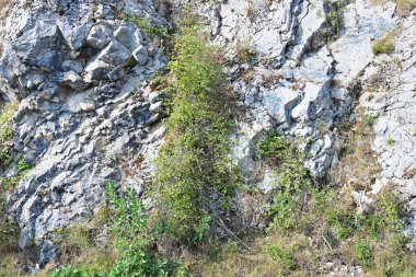 Taş duvar dokusu arkaplanı