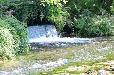 Yeşil dağ ormanında şelale