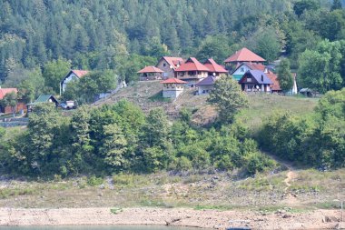 Dağ ormanında yeşil ağaçlar