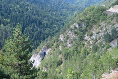 Dağlardaki yeşil orman