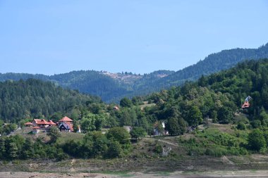 Dağ ormanında yeşil ağaçlar