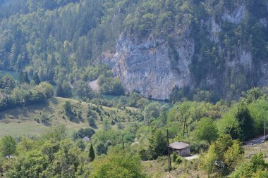 Dağlardaki yeşil orman