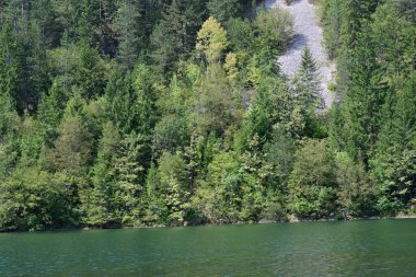 Yeşil dağlardaki nehir manzarası