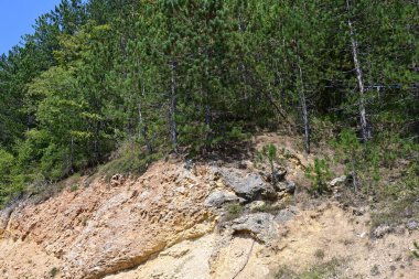 Dağlardaki yeşil orman