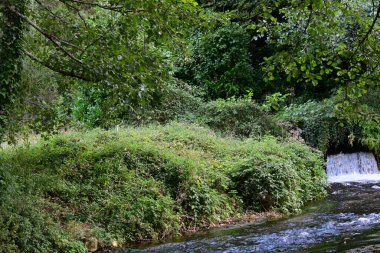 Yeşil dağ ormanında şelale