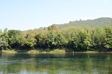 Güzel göl manzarası 