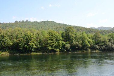 Güzel göl manzarası 