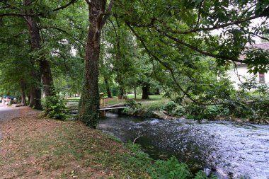 Yeşil dağlardaki nehir manzarası