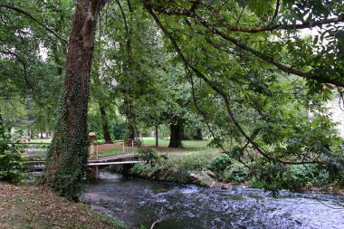 Yeşil dağlardaki nehir manzarası