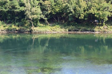 Güzel göl manzarası 