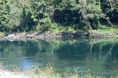 Güzel göl manzarası 