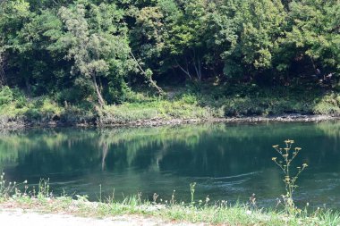 Güzel göl manzarası 