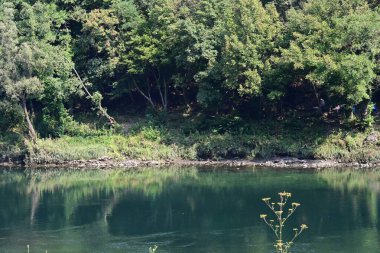 Güzel göl manzarası 