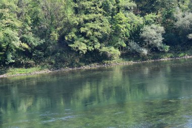 Güzel göl manzarası 