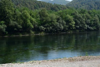 Güzel göl manzarası 