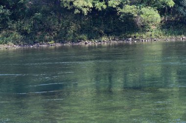 Güzel göl manzarası 