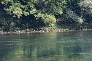 Güzel göl manzarası 