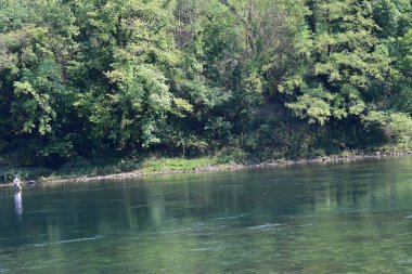 Güzel göl manzarası 