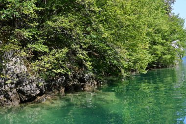 Ormanlı dağlardaki güzel göl manzarası