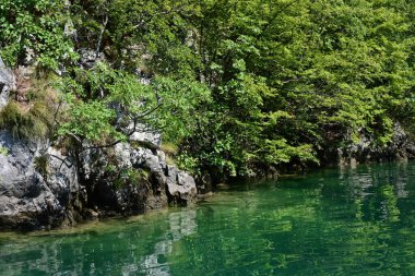 Ormanlı dağlardaki güzel göl manzarası