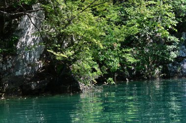 Ormanlı dağlardaki güzel göl manzarası