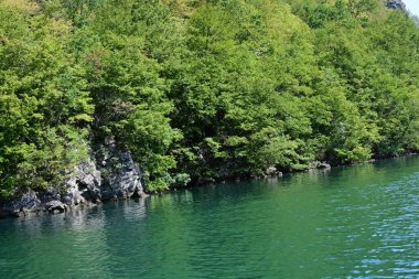 Ormanlı dağlardaki güzel göl manzarası